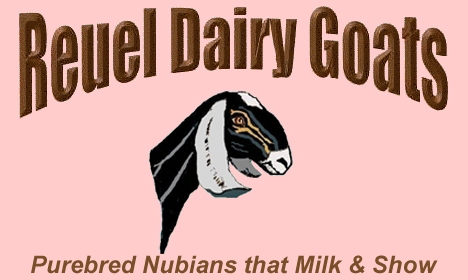 Reuel Dairy Goats Logo